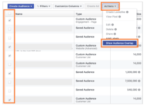 Screenshot of audience overlap for Facebook Ads